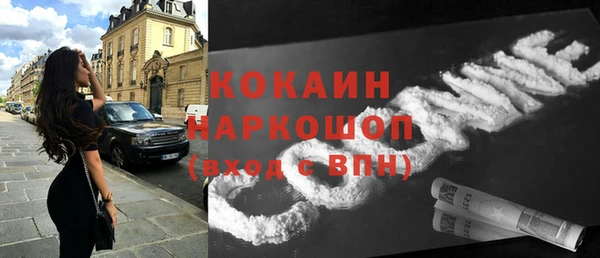 a pvp Бородино