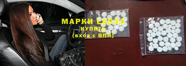 a pvp Бородино