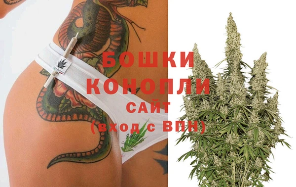 a pvp Бородино