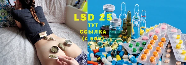 стафф Богданович