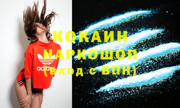 стафф Богданович