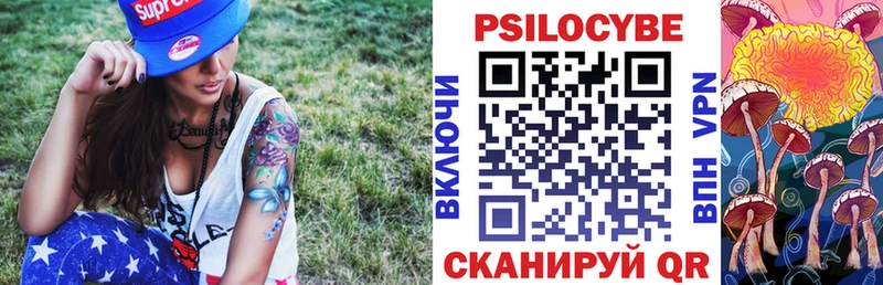 Псилоцибиновые грибы Psilocybine cubensis  Купить  Новоуральск 