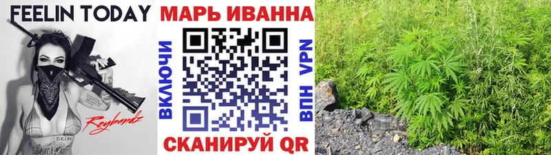 Купить где Новоуральск Канабис семена